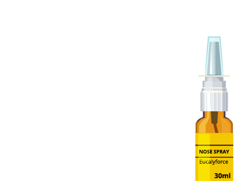 product17-gallery-1 a